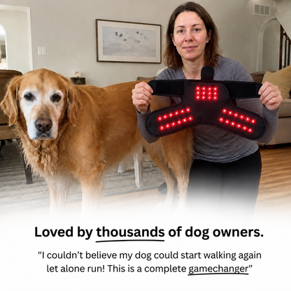 PawGenix™ Red Light Sleeve