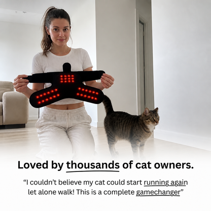 PawGenix™ Red Light Sleeve